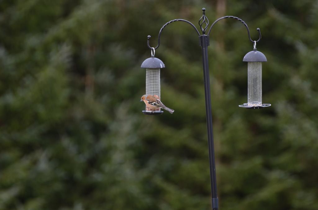 Ewich House B&B Crianlarich Buitenkant foto